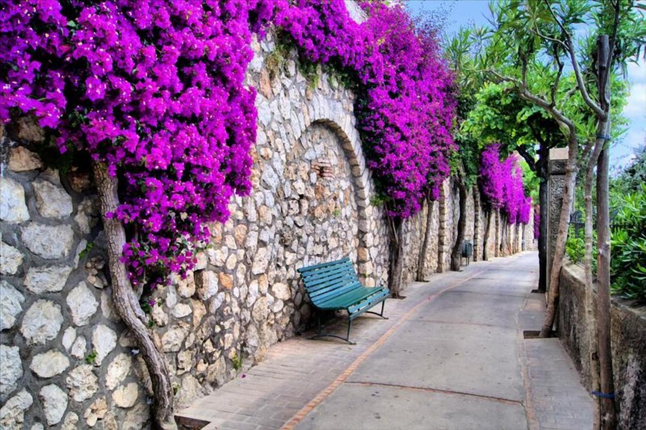 Apartmán Il Dolce Rifugio Sorrento Exteriér fotografie