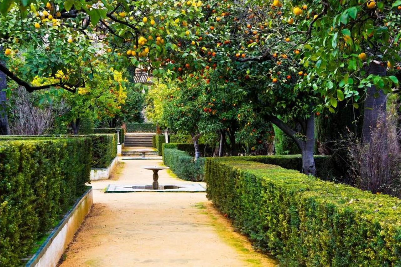 Apartmán Il Dolce Rifugio Sorrento Exteriér fotografie